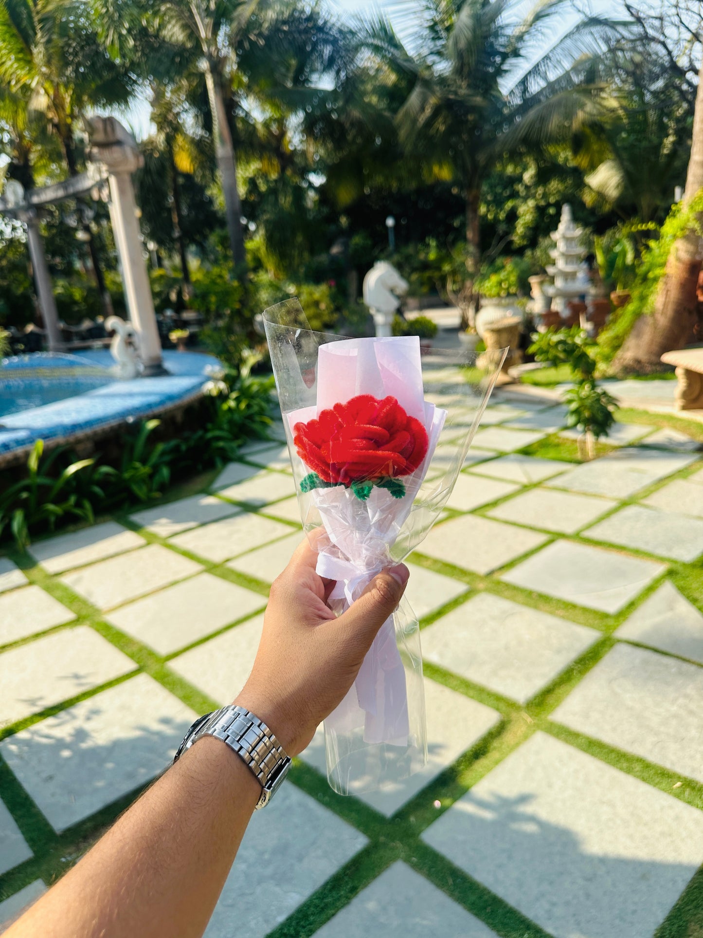 Rose (one)