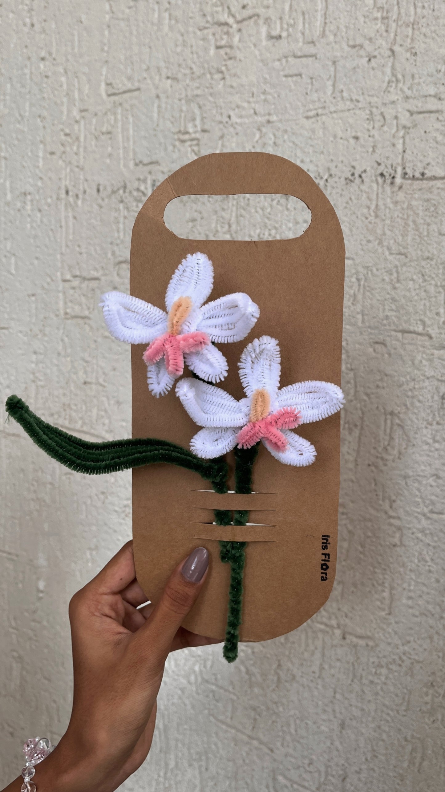 Orchid | DIY Kit