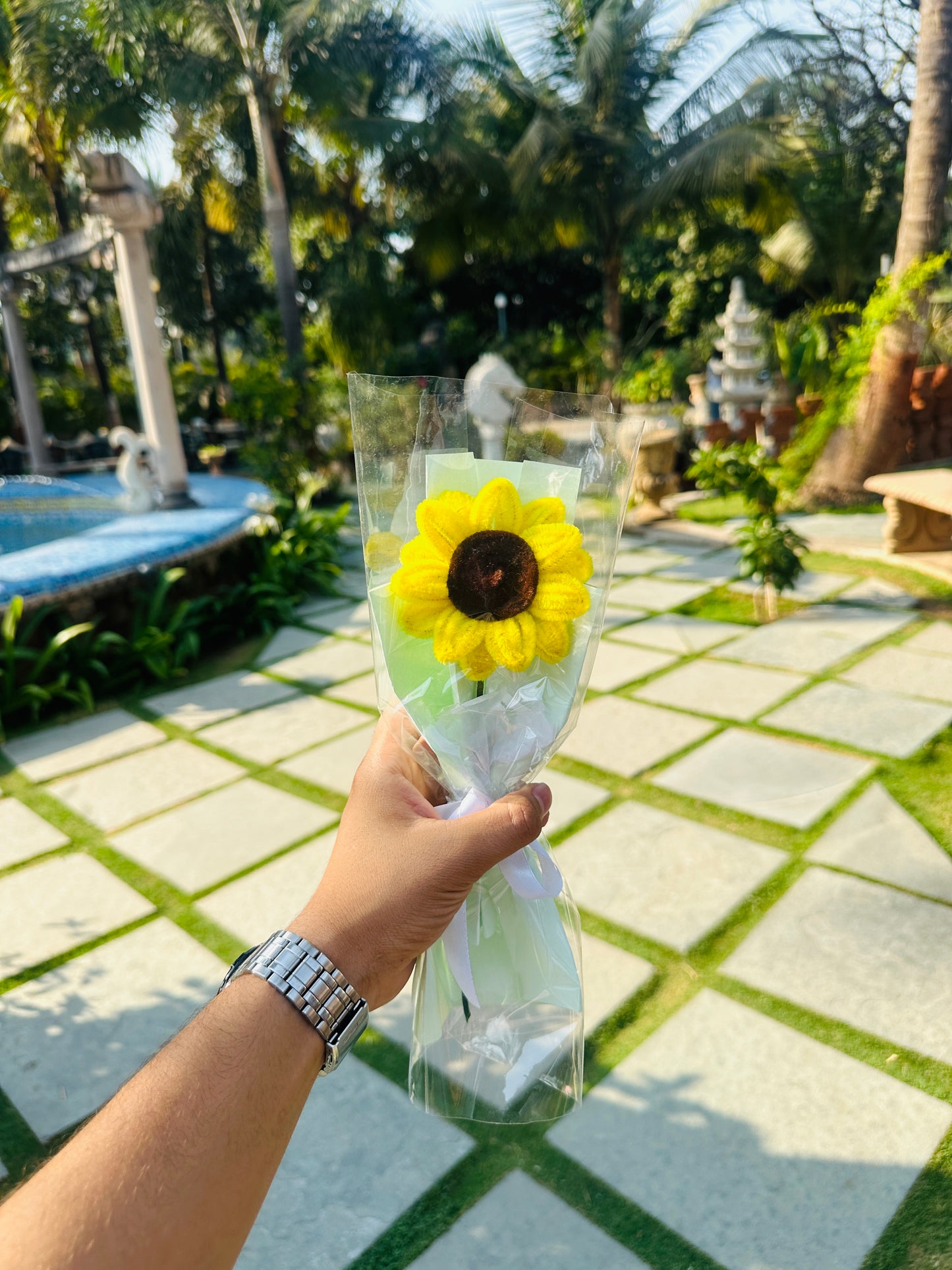 Sunflower (one)