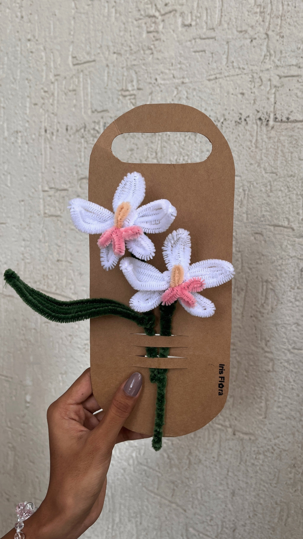 Orchid | DIY Kit