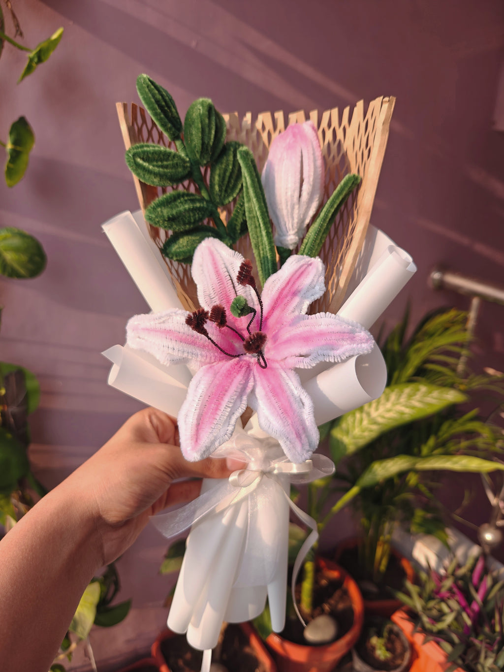Lilly bloom