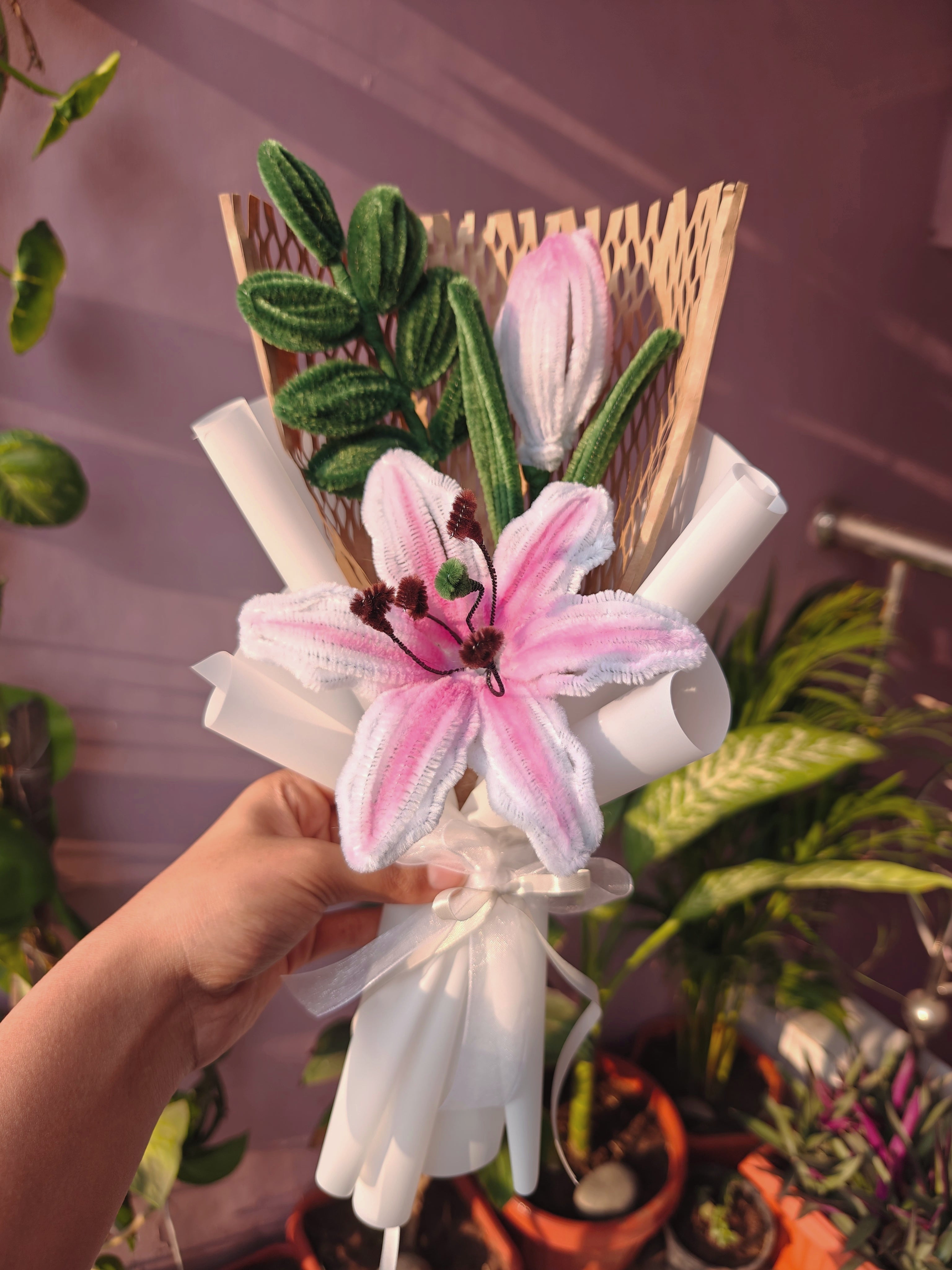 Lilly bloom