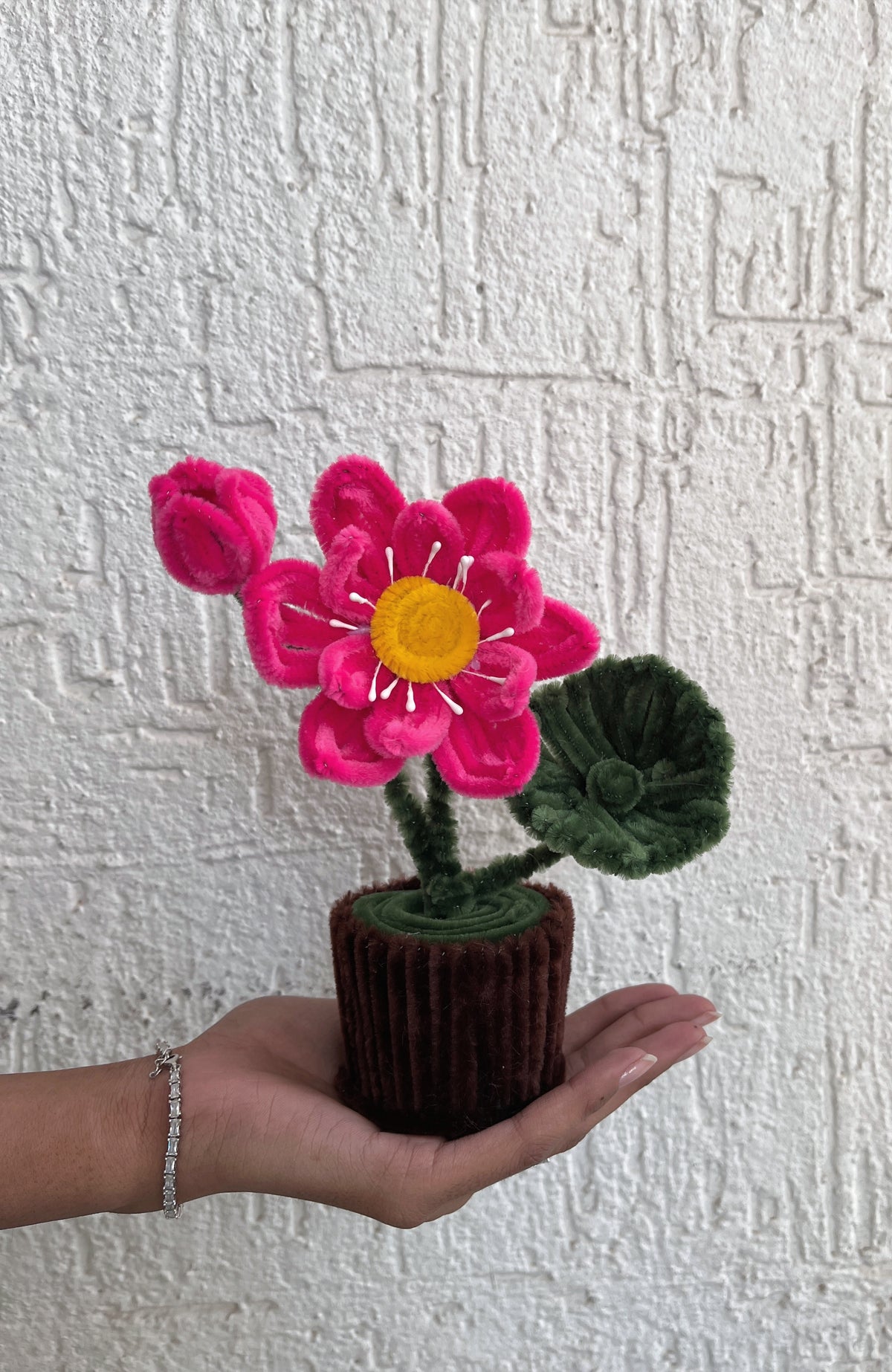 Lotus pot