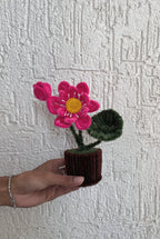 Lotus pot