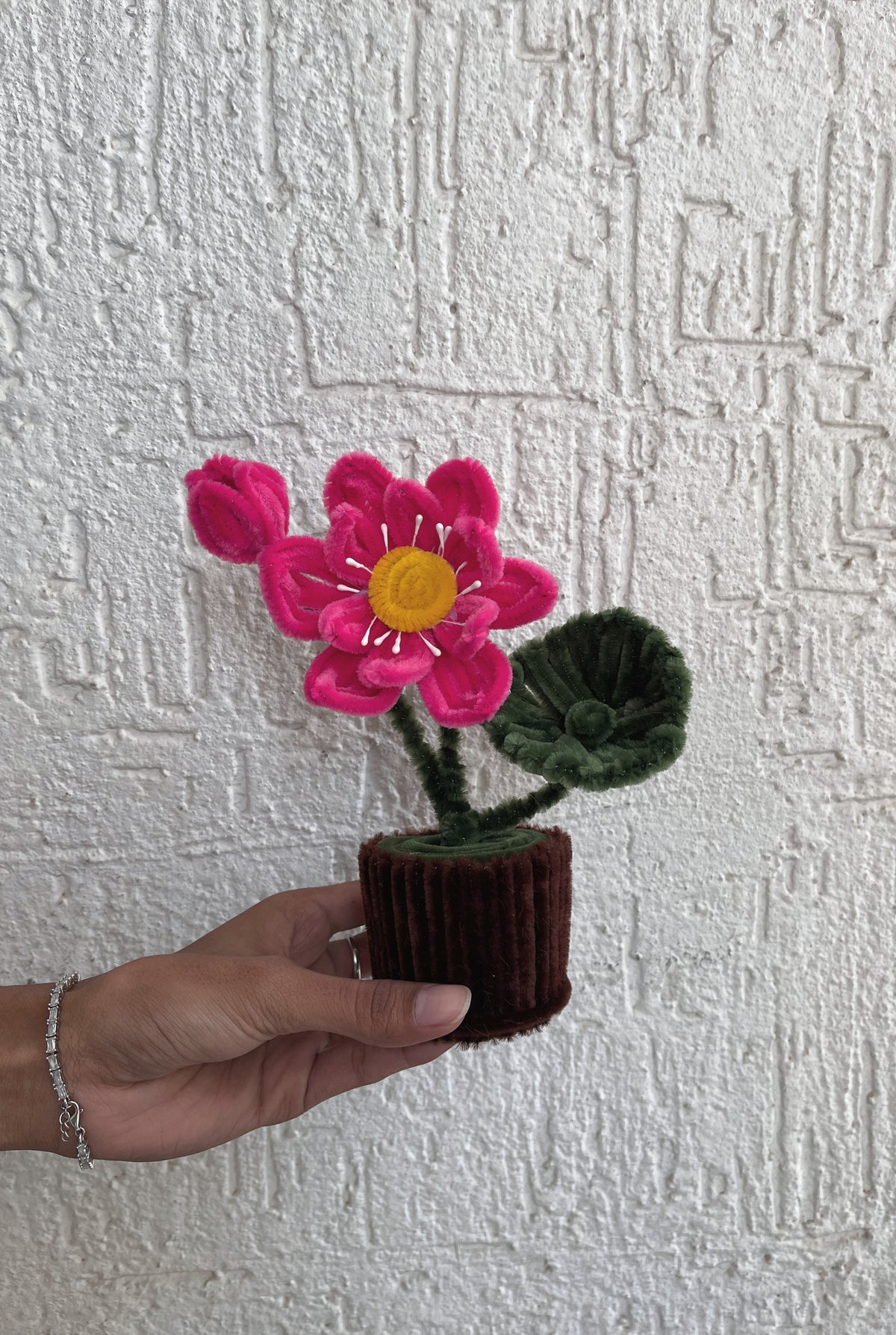 Lotus pot