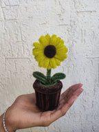 Sunflower pot