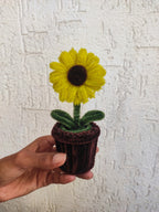 Sunflower pot