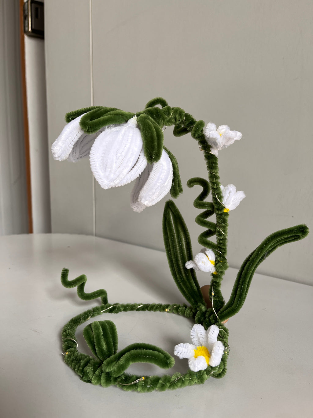 Bellis | DIY Kiy