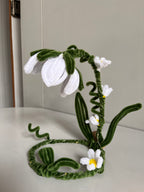 Bellis | DIY Kiy