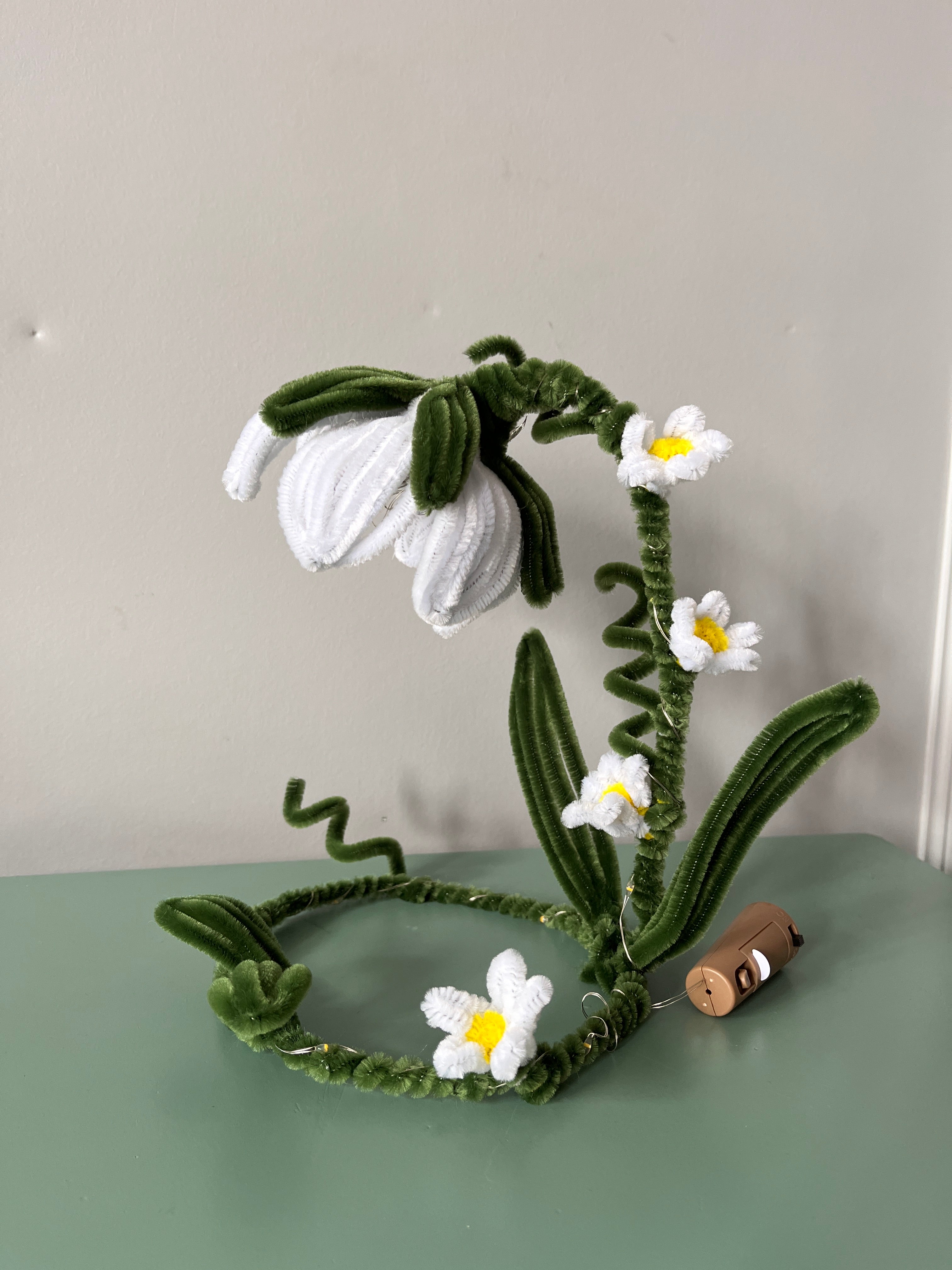 Bellis | DIY Kiy
