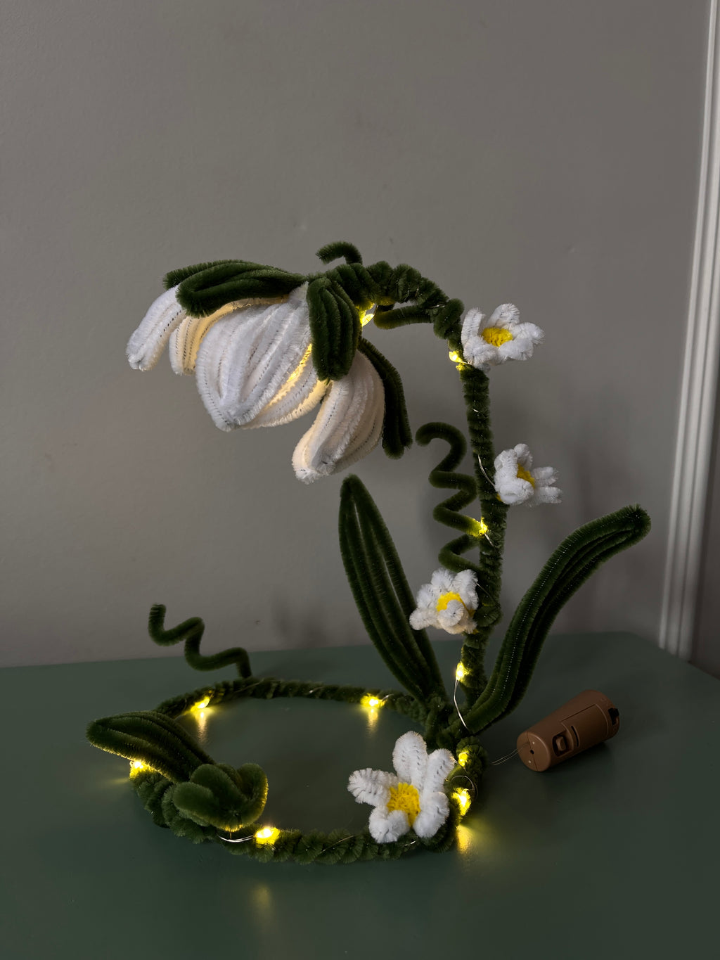 Bellis | DIY Kiy