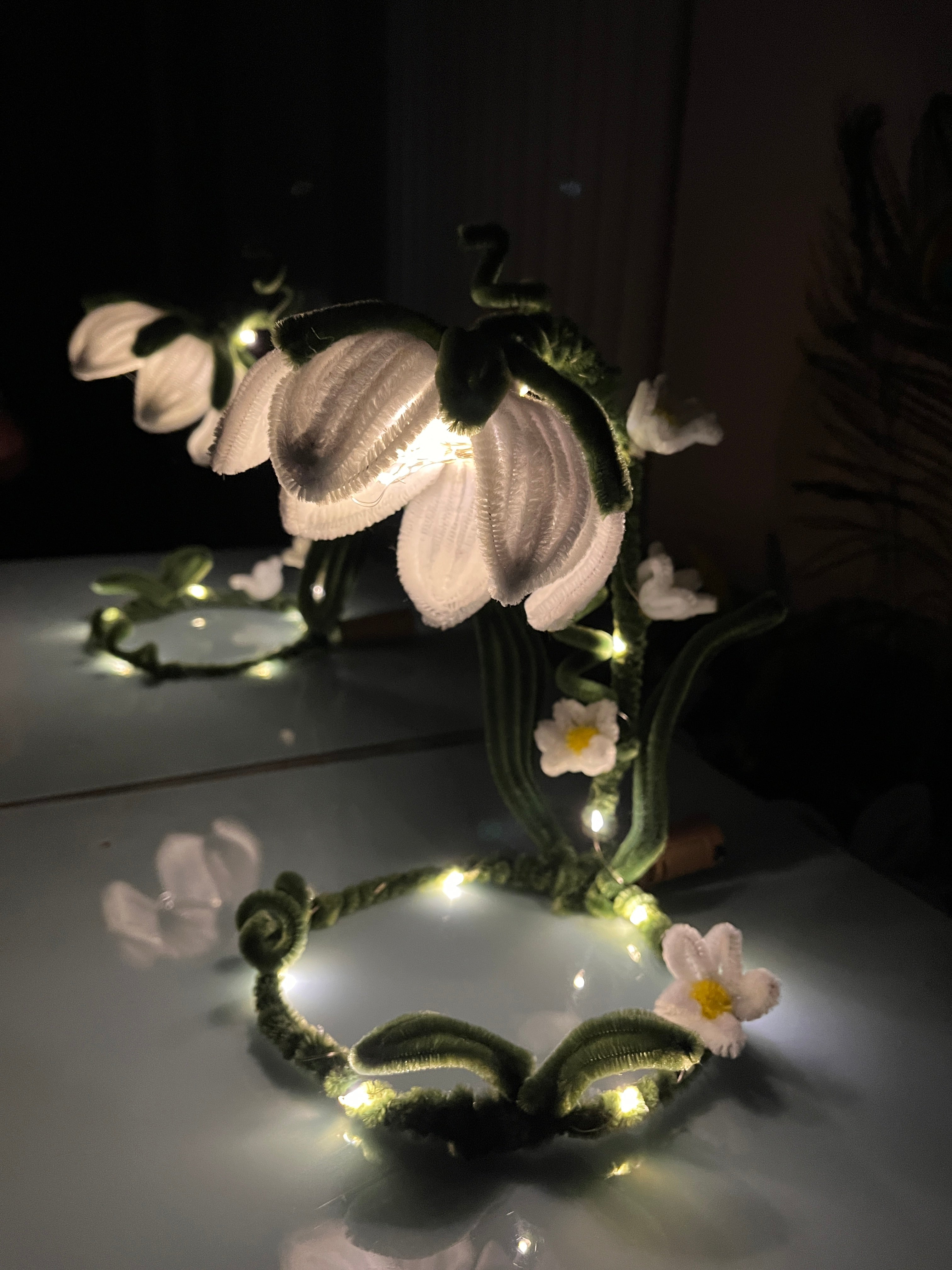 Bellis | DIY Kiy
